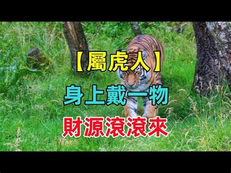 屬虎戴什麼|【屬虎戴什麼】屬虎戴什麼？揭秘最旺屬虎者的玉石、。